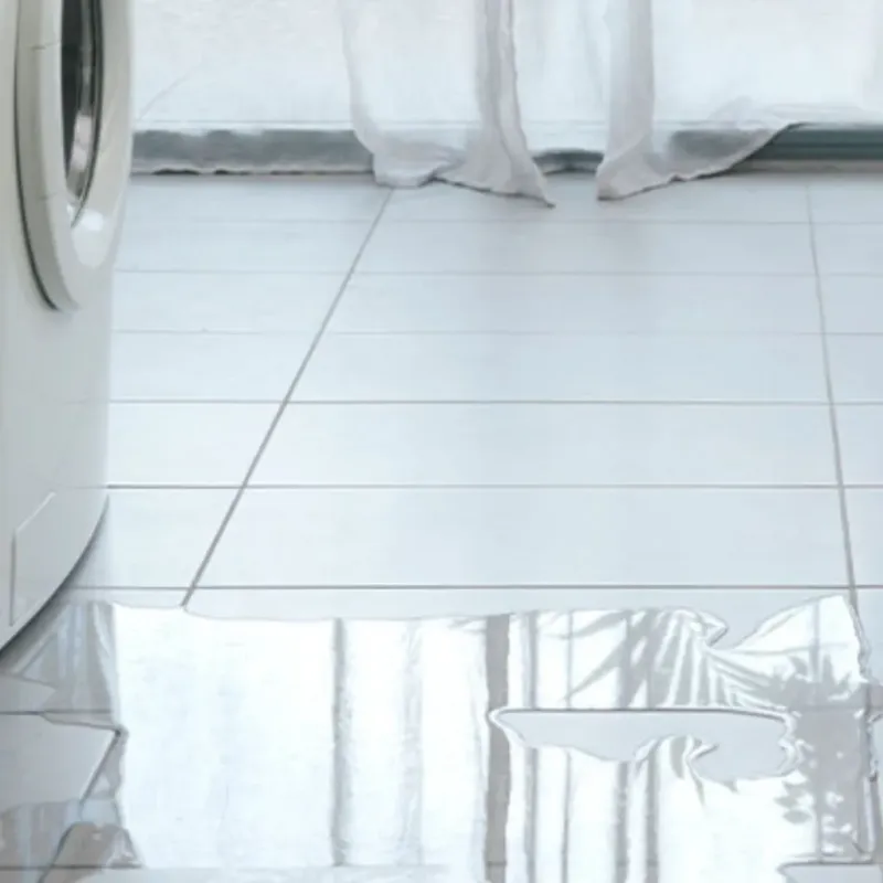 Appliance Leak Cleanup in Staunton, IL