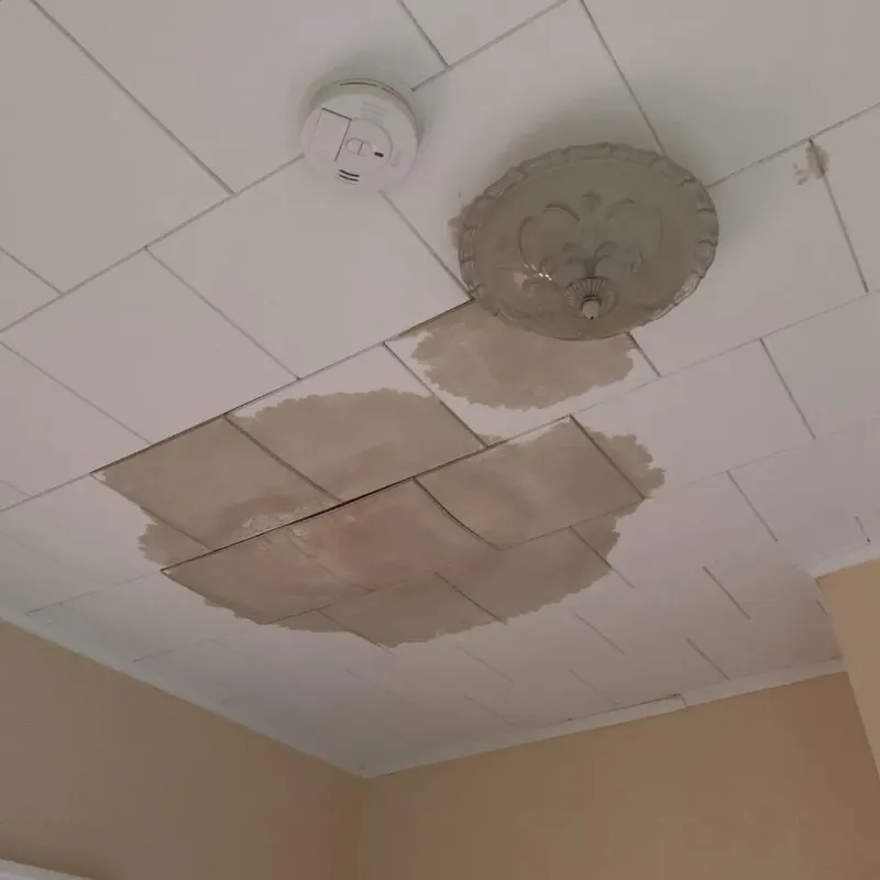 Ceiling Water Damage Repair in Staunton, IL