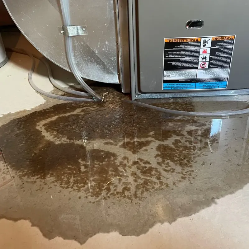 Pipe Burst and Leak Restoration in Staunton, IL