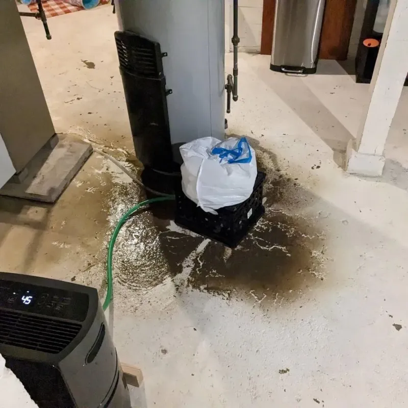 Sewage Backup Cleanup Service in Staunton, IL